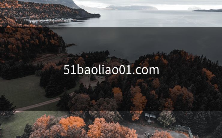51baoliao01.com