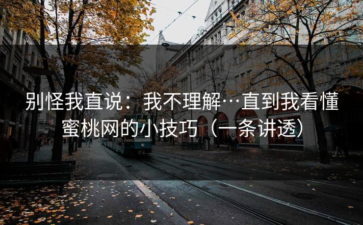 别怪我直说:我不理解…直到我看懂蜜桃网的小技巧(一条讲透)